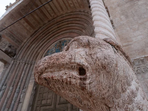 Kathedraal van Verona, externe romaanse architectuur met bestiaries gesneden in marmer — Stockfoto