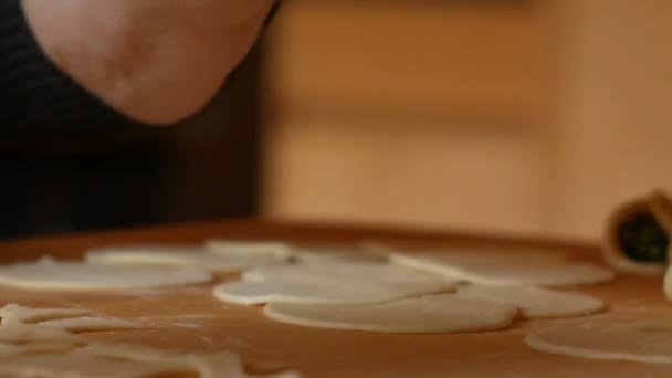 Ravioli makarna diskleri üzerinde yakın — Stok video