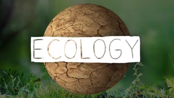 Logo de animación con la escritura de ecología con el tema de ecología fondo — Vídeos de Stock