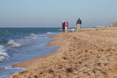 Kumsalda bir köpekle sabah yürüyüşü.