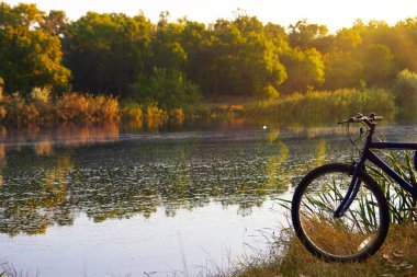 Sakin bir orman gölünün arka planında bisiklet.