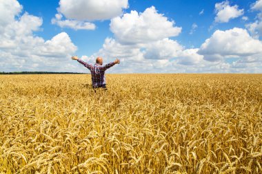 Elleri havada mutlu bir çiftçi iyi hasatla neşeleniyor