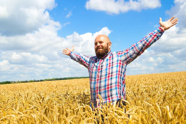 Ευτυχισμένος Αγρότης Σηκωμένα Χέρια Χαίρεται Την Καλή Σοδειά — Φωτογραφία Αρχείου