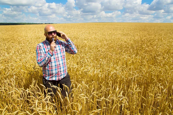 Çiftçi elektronik sigara içiyor ve olgunlaşmış bir buğday tarlasını mavi gökyüzüne çağırıyor, büyük hasat.