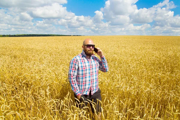 Olgun bir buğday tarlasında telefonu tutan çiftçi mavi gökyüzü, büyük hasat