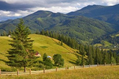 Ormanlık yeşil tepeli dağ manzarası. Açık havada güneşli güzel bir manzara.