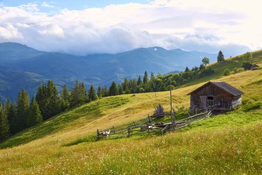 Ormanlık yeşil tepeli dağ manzarası. Açık havada güneşli güzel bir manzara.
