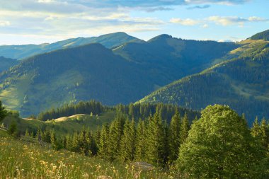 Ormanlık yeşil tepeli dağ manzarası. Açık havada güneşli güzel bir manzara.