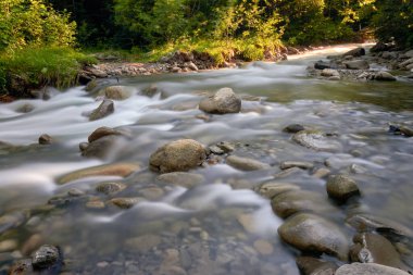 Dağ nehri yazın Karpat ormanlarında uzun süre açıkta kalır. Güzel bir manzara.