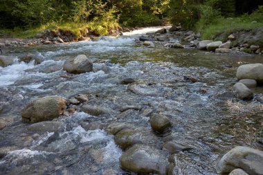 Dağ nehri yazın Karpat ormanlarında uzun süre açıkta kalır. Güzel bir manzara.