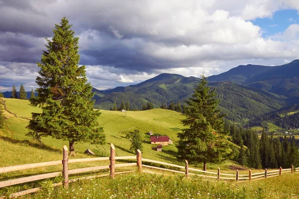 Гірський Літній Пейзаж Лісистими Зеленими Пагорбами Красиві Сонячні Пейзажі Чисту — стокове фото