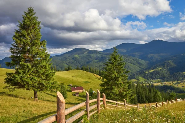 木製の緑の丘と山の夏の風景 晴天に恵まれた美しい日当たりの良い風景 — ストック写真
