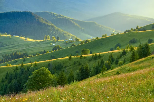 Горный Летний Пейзаж Лесистыми Зелеными Холмами Красивые Солнечные Пейзажи Ясную — стоковое фото