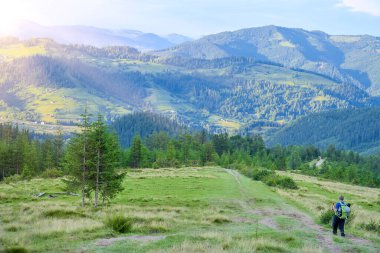 Güzel bir yaz manzarası olan dağ yolu boyunca turist gezisi.