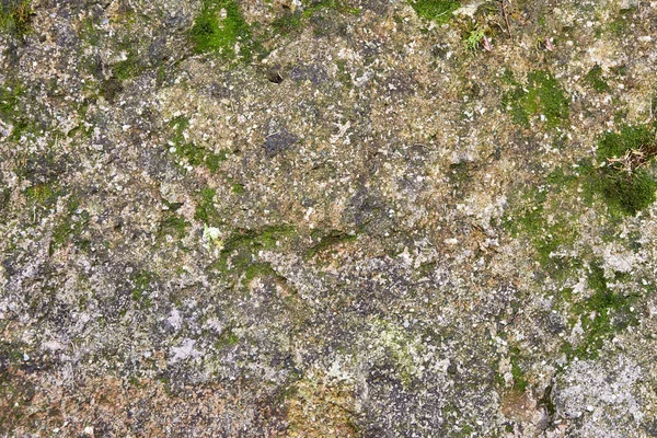 Textura Detalhada Pedra Mineral Escura Natural Com Musgo — Fotografia de Stock