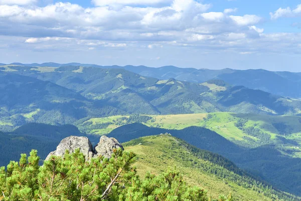 Summer landscape from the top of the mountain, overlooking the green mountain range and pines