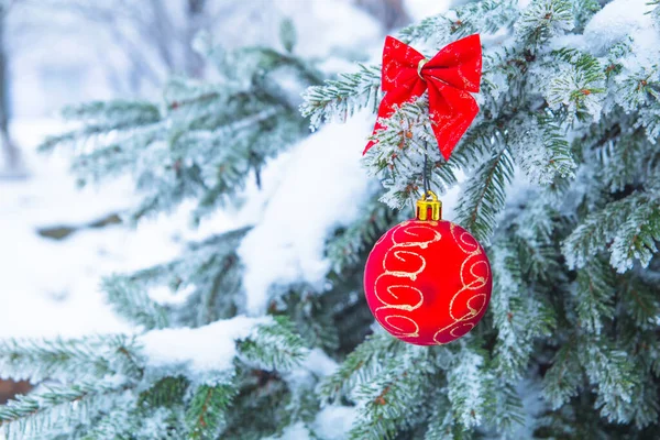 Pamuk kaplı güzel Kırmızı Noel Balosu 'nda. Noel Arkaplanı