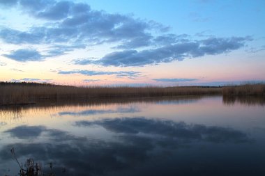 Uzun bir nehrin üzerinde doğa akşam batımı. Sazlık ve baston. Suya yansıyan güzel bulutlar.