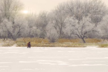 Kış günü donmakta olan ağaçlar ve donmuş bir göl..