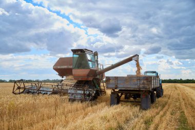 Buğday tarlasında hasat makinesini mavi gökyüzüyle birleştir.