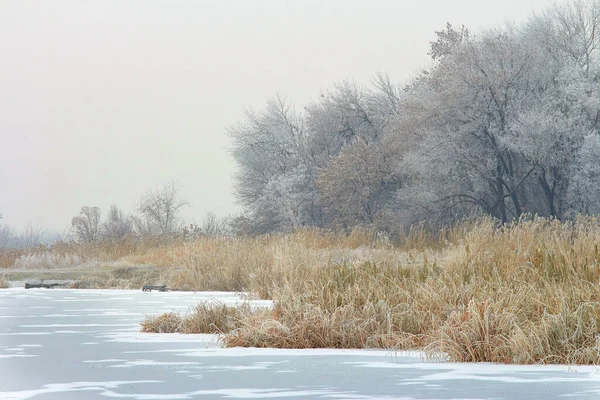 Alberi Hoarfrost Lago Ghiacciato Una Giornata Invernale — Foto Stock