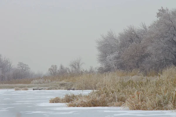 Árvores Hoarfrost Lago Congelado Dia Inverno — Fotografia de Stock