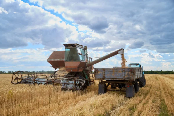 Combiner Moissonneuse Sur Champ Blé Avec Ciel Bleu — Photo