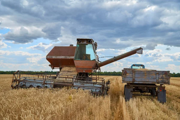 Combiner Moissonneuse Sur Champ Blé Avec Ciel Bleu — Photo