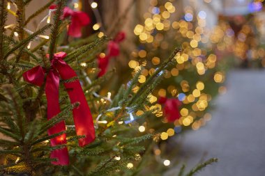 Noel arkaplanı, daldaki kırmızı fiyonk ve çiçek soğanlarından gelen parlak ışık, bulanık arkaplan