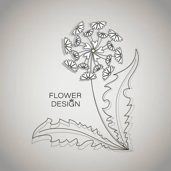Fleurs Été Pissenlit Cœurs Design Fleurs Logo Emblème Affiche Dessin — Image vectorielle