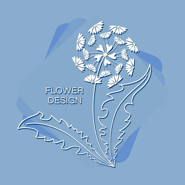 Pissenlit Camomille Sur Fond Bleu Design Floral Logo Emblème Affiche — Image vectorielle