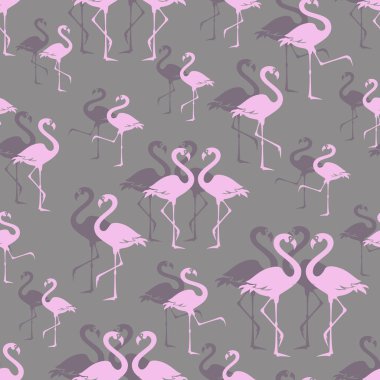 Pembe flamingolar. Hayvanat bahçesi kuş Parkı. Seamless modeli. Egzotik yürüyen kuş çakışıyor. İhtişam flock üzerinde gri kuş Parkı. Flamingolar yürüyen. 