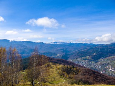 Dağ başında. Carpathians.Landscape. dağ orman. Tasarım poster, duvar kağıdı, arka plan görüntüsü için.