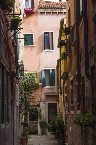 Canto Uma Rua Tradicional Veneziana Dia Ensolarado Brilhante Paisagem Urbana — Fotografia de Stock