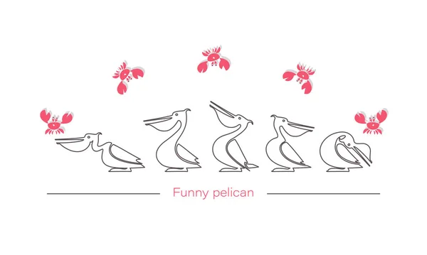 Pelícanos graciosos, cangrejos. Logo Vector carácter aislado. Cangrejo rojo y pájaro con una línea de contorno negro . — Vector de stock
