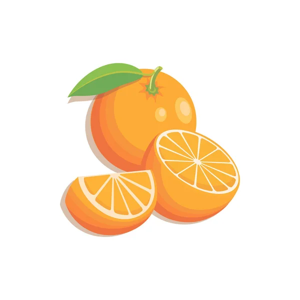 Des oranges. Tranches vectorielles oranges qui sont segmentées. Illustration d'agrumes avec feuilles isolées — Image vectorielle