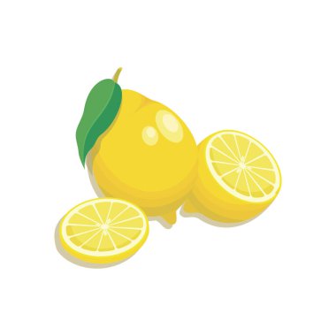 Limon meyvesi Portakalları dilimleyen vektör. Citrus. Poster, amblem, çizim meyvesi. 