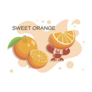 Güzel bir portakal. Tropik meyveler, olgun portakallı tatlı yengeç. Taze meyve, kırmızı yengeç.