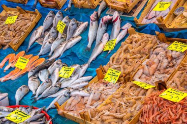 İstanbul, Türkiye - 04 Nisan 2019: Galata Köprüsü yakınlarındaki Karaköy Balık Pasari adlı balık pazarında satışa sunulan balıklar. Halk pazarında çeşitli balık ve satıcıların olduğu bir balık dükkanı.