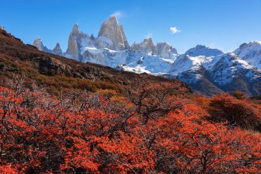 Güzel bir sonbahar gününde Los Glaciares Milli Parkı'nda Majestic Mount Fitz Roy