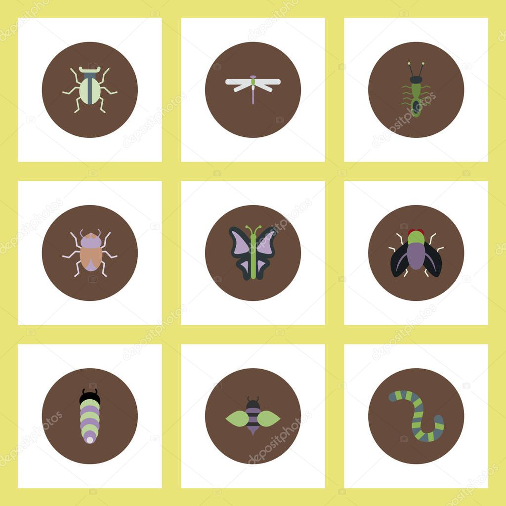 Collection of insects in brown circles