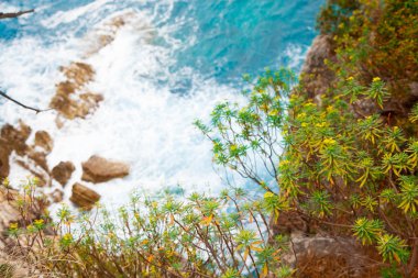 saea dalgalar ve gündüz taşlara