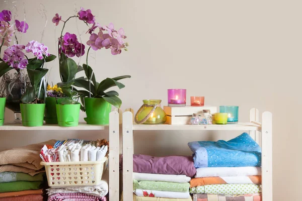 Çiçek açması orkide Phalaenopsis üst üste bir ahşap raf üzerinde durmak. Metin için yer. Bej renkli arka plan.