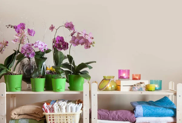 Çiçek açması orkide Phalaenopsis üst üste bir ahşap raf üzerinde durmak. Metin için yer. Bej renkli arka plan.