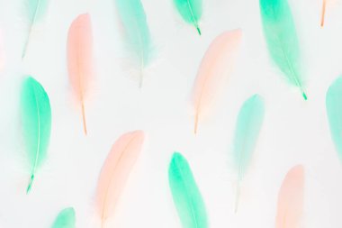 Pastel tonların IRD tüyleri.