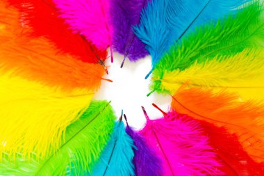 Poster for the Brazilian carnival.