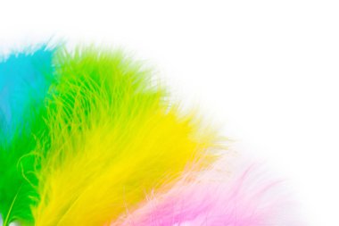 Brezilyalı karnaval için kostüm bir parçası. Renkli parlak tüyler.