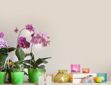 Çiçek açması orkide Phalaenopsis üst üste bir ahşap raf üzerinde durmak. Metin için yer. Bej renkli arka plan.