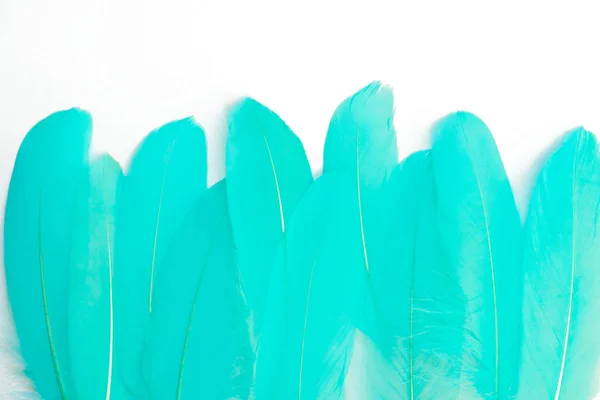 Plumas Extrañas Tonos Pastel —  Fotos de Stock