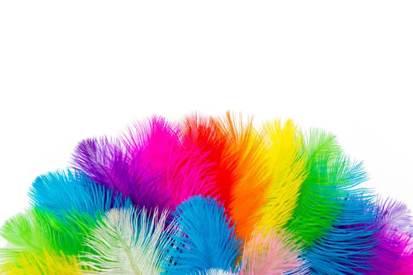 Poster Brazilian Carnival Circle Wreath Feathers White Background Isolated — Stock Photo, Image